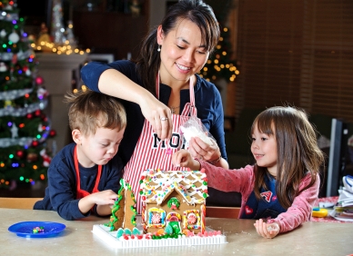 a gingerbread house / finishing touches applied / holiday season