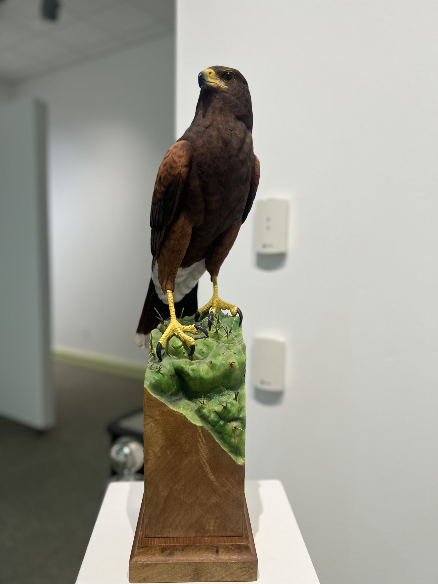 The Goodwin Gallery SKyPAC