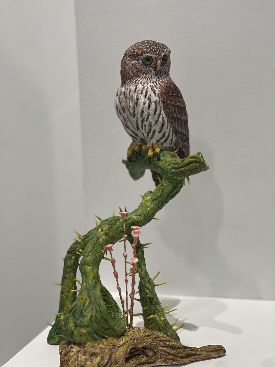 The Goodwin Gallery SKyPAC